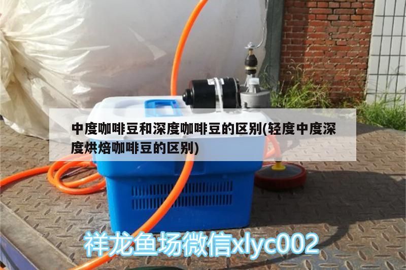 龍魚干蝦有營養嗎 中度咖啡豆和深度咖啡豆的區別(輕度中度深度烘焙咖啡豆的區別) 馬來西亞咖啡 中度咖啡豆和深度咖啡豆的區別(輕度中度深度烘焙咖啡豆的區別) 中度咖啡豆和深度咖啡豆的區別(輕度中度深度烘焙咖啡豆的區別) 馬來西亞咖啡