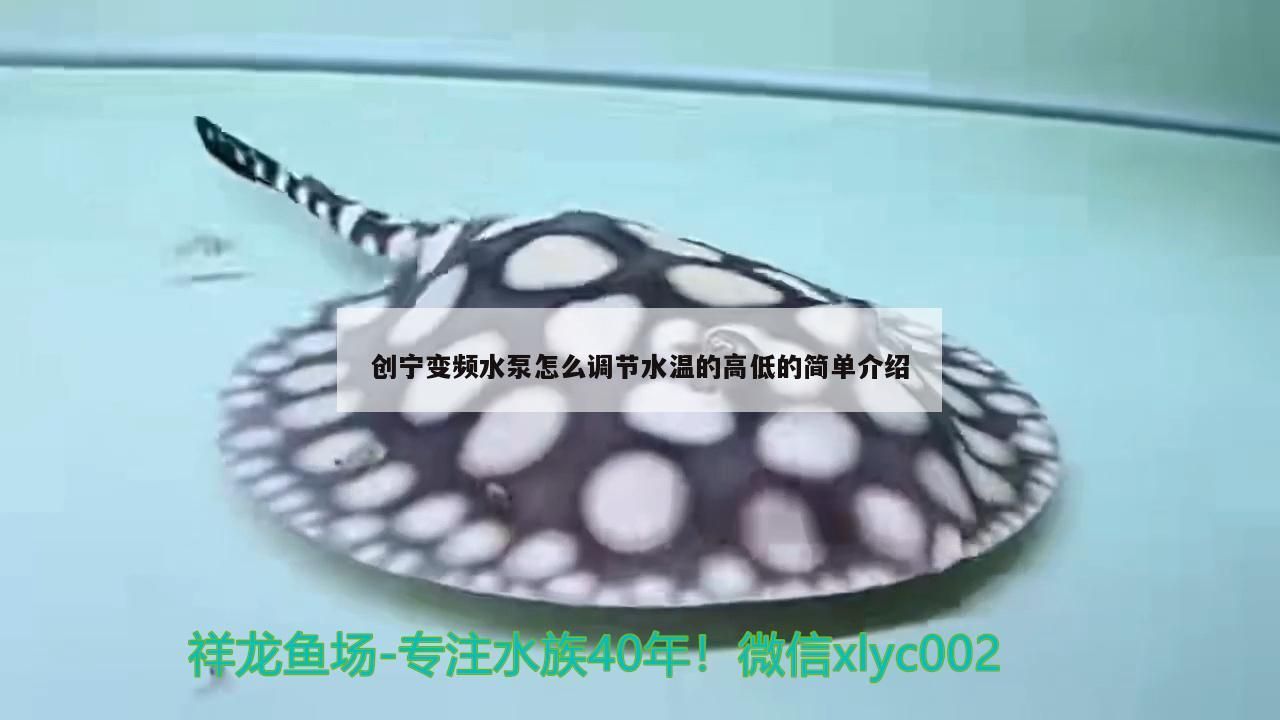 創寧變頻水泵怎么調節水溫的高低的簡單介紹