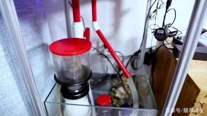 森森底濾缸改造的好處