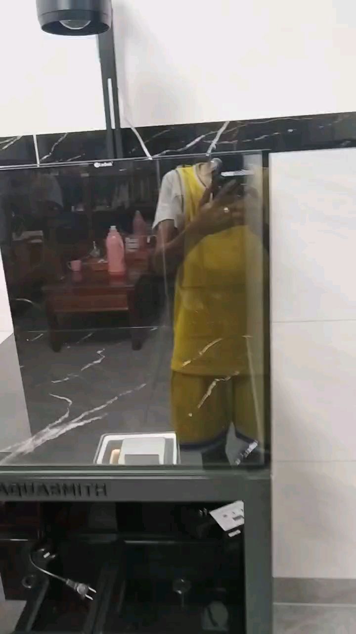 新缸養啥魚呢