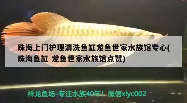 <strong><mark>珠海</mark></strong>上門護理清洗魚缸龍魚世家水族館專心(<strong><mark>珠海</mark></strong>魚缸龍魚世家水族館點贊)