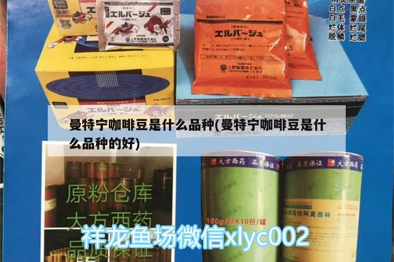 曼特寧咖啡豆是什么品種(曼特寧咖啡豆是什么品種的好)