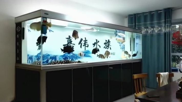 博特魚缸過(guò)濾盒缺點(diǎn)分析圖：\"博特魚缸過(guò)濾盒缺點(diǎn)分析圖