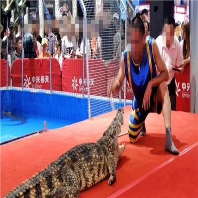 1米八的魚缸多少錢：1米8的魚缸價格計算方法魚缸市場定價1米8的魚缸多少錢