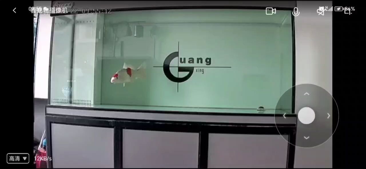 入魚