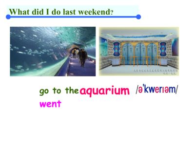 水族館用英文怎么說？（theaquarium水族館設計的創新理念如何維護家庭水族箱生態）