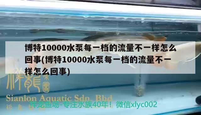 博特10000水泵每一檔的流量不一樣怎么回事(博特10000水泵每一檔的流量不一樣怎么回事)