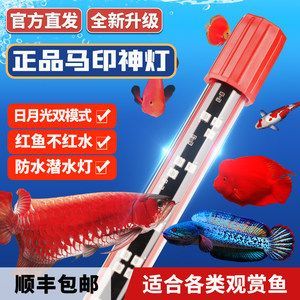 馬印神燈plus和馬印神燈哪個好：馬印神燈plus與馬印神燈哪個好