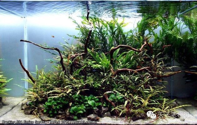 水族館店鋪介紹