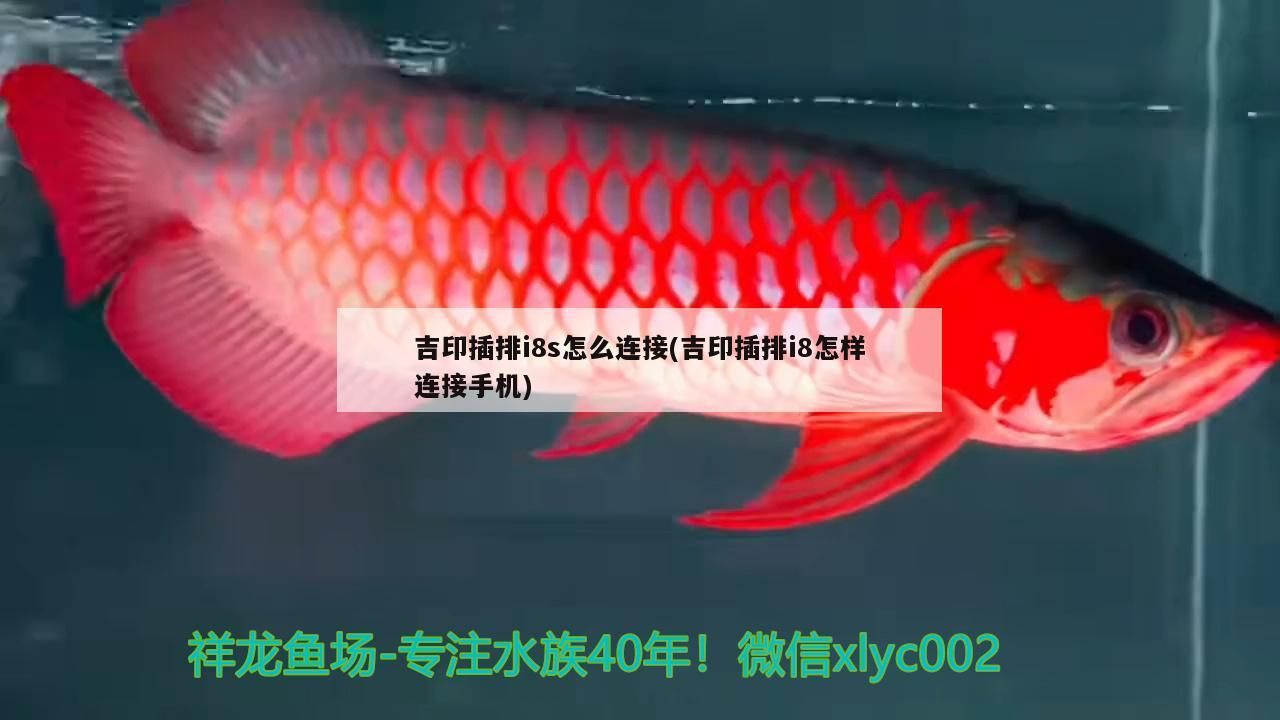 吉印插排i8s怎么連接(吉印插排i8怎樣連接手機)