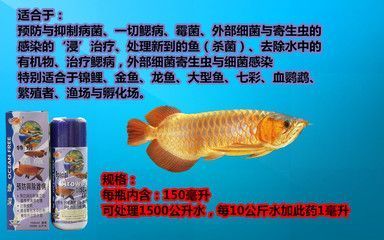 龍魚1號藥 龍魚百科 第1張 龍魚1號藥 龍魚1號藥 龍魚百科 第1張