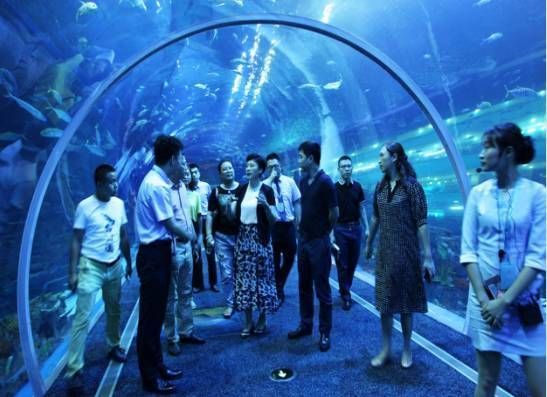 水族館經營模式是什么（水族館如何應對市場競爭） 水族館經營模式是什么（水族館如何應對市場競爭） 水族館百科（水族館加盟） 第1張
