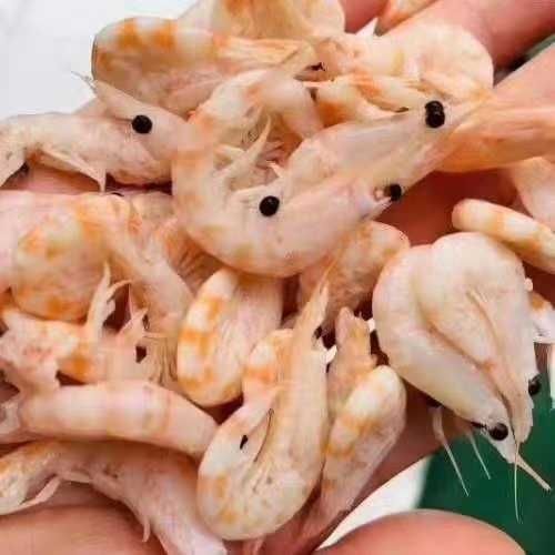 長春市賣魚缸電話地址查詢（長春哪里做魚缸便宜） 長春市賣魚缸電話地址查詢（長春哪里做魚缸便宜） iwish愛唯希品牌魚缸