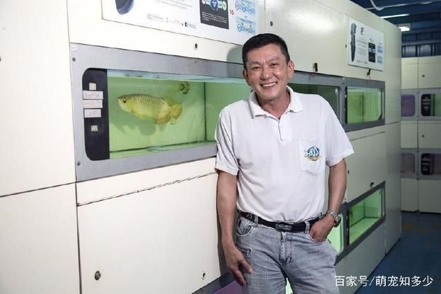 紅龍魚厭食如何判斷是否健康？（如何判斷紅龍魚是否健康） 紅龍魚厭食如何判斷是否健康？（如何判斷紅龍魚是否健康） 龍魚百科 第1張