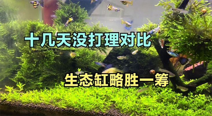 博特新材料泰州有限公司蘭州分公司（博特建材有限公司）