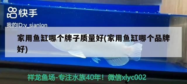 家用魚缸哪個牌子質量好(家用魚缸哪個品牌好)
