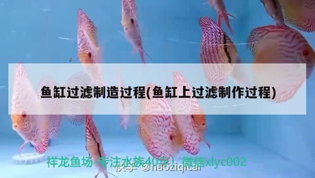 水族館在哪里有賣的（水族館的產品） 水族館在哪里有賣的（水族館的產品） 水族館百科（水族館加盟） 第3張