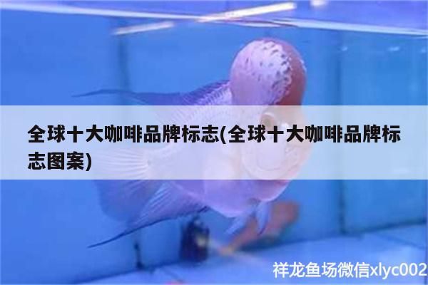 鸚鵡魚和銀龍魚混養怎樣喂食 全球十大咖啡品牌標志(全球十大咖啡品牌標志圖案) 馬來西亞咖啡 全球十大咖啡品牌標志(全球十大咖啡品牌標志圖案) 全球十大咖啡品牌標志(全球十大咖啡品牌標志圖案) 馬來西亞咖啡