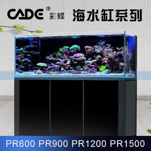 cade魚缸怎么樣：cade魚缸售后服務cade魚缸售后服務cade魚缸評價 cade魚缸怎么樣：cade魚缸售后服務cade魚缸售后服務cade魚缸評價 魚缸百科 第3張
