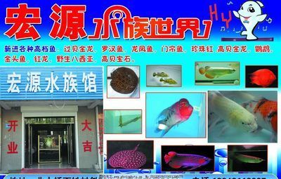 水族館招牌圖片大全：水族館招牌圖片大全水族館招牌設計靈感來源