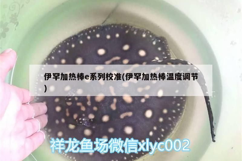 伊罕加熱棒e系列校準(伊罕加熱棒溫度調節)