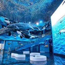 開(kāi)一家水族館的成本預(yù)算是多少錢（開(kāi)一家水族館成本預(yù)算）