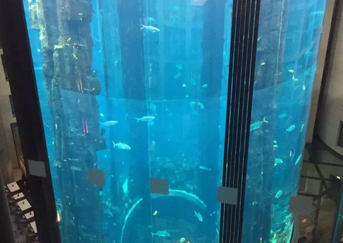 2米魚缸能進電梯嗎視頻：2米的魚缸能否進入電梯，如何安全地搬運大型魚缸