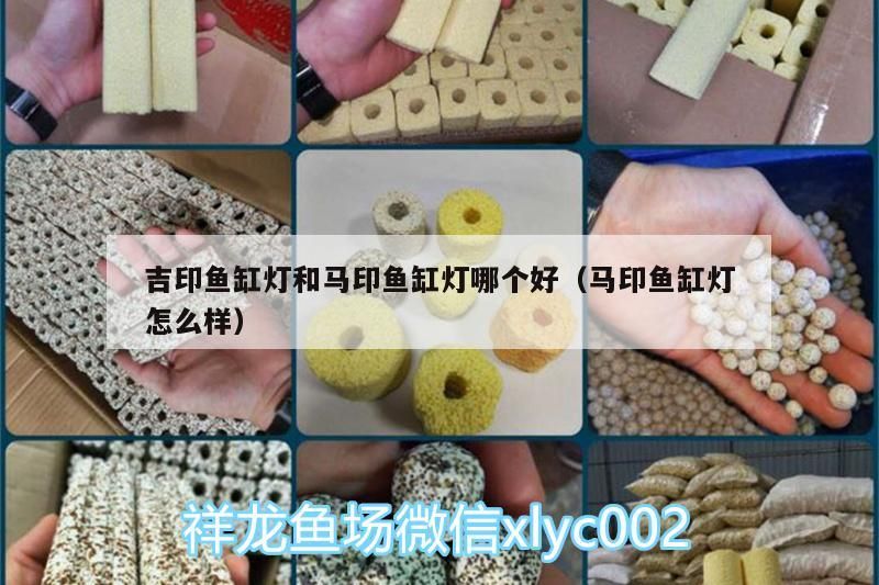 吉印魚缸燈和馬印魚缸燈哪個好（馬印魚缸燈怎么樣）