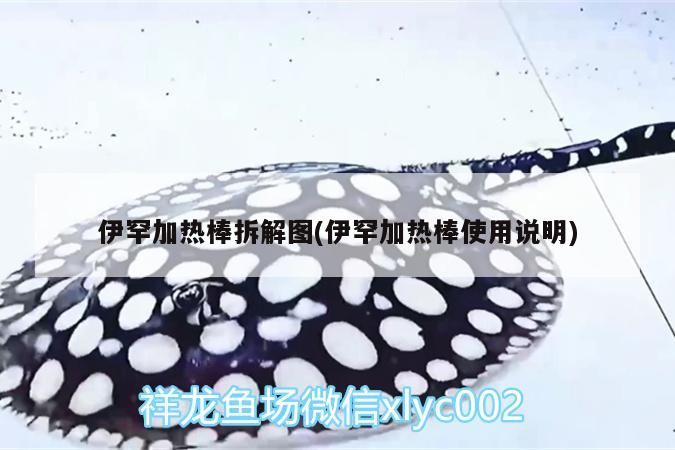 魚缸 伊罕加熱棒拆解圖(伊罕加熱棒使用說明) 伊罕水族 伊罕加熱棒拆解圖(伊罕加熱棒使用說明) 伊罕加熱棒拆解圖(伊罕加熱棒使用說明) 伊罕水族