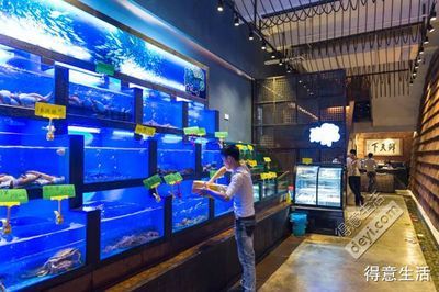 水族館店鋪名字大全（水族館名字大全）