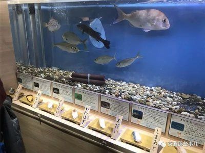 水族館店鋪名字大全（水族館名字大全）