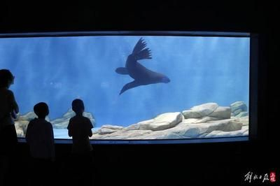水族館都賣什么（水族箱造景比賽報名方式水族館會員服務有哪些）