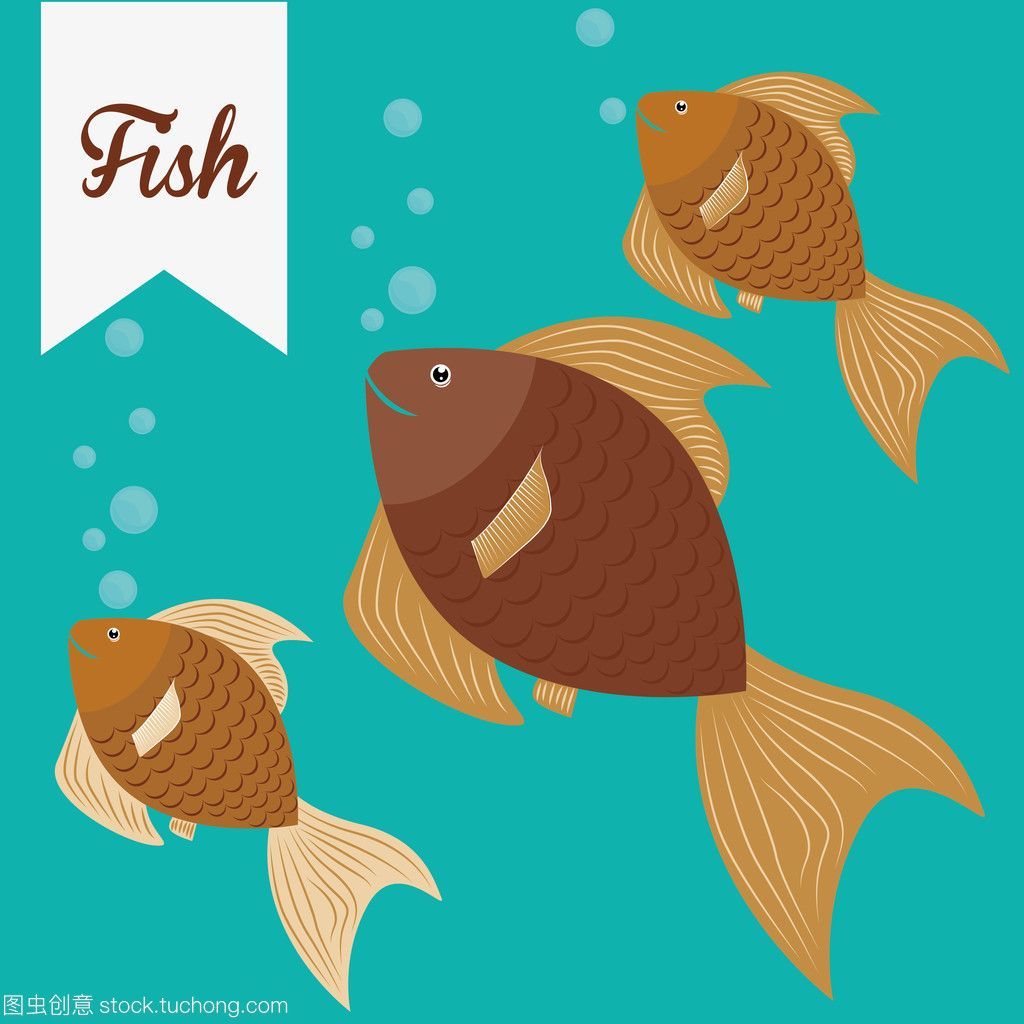fish tank魚缸MAD：建筑師馬巖松通過觀察魚的行為來設計一個新的魚缸 fish tank魚缸MAD：建筑師馬巖松通過觀察魚的行為來設計一個新的魚缸 魚缸百科 第3張