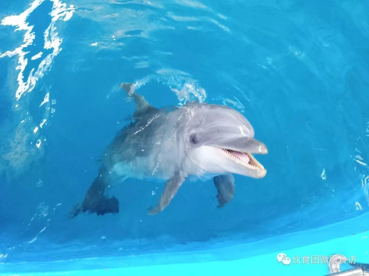 好聽的水族館名字大全(水族館名字大全) 水族館百科(水族館加盟) 第4張 好聽的水族館名字大全(水族館名字大全) 好聽的水族館名字大全(水族館名字大全) 水族館百科(水族館加盟) 第4張