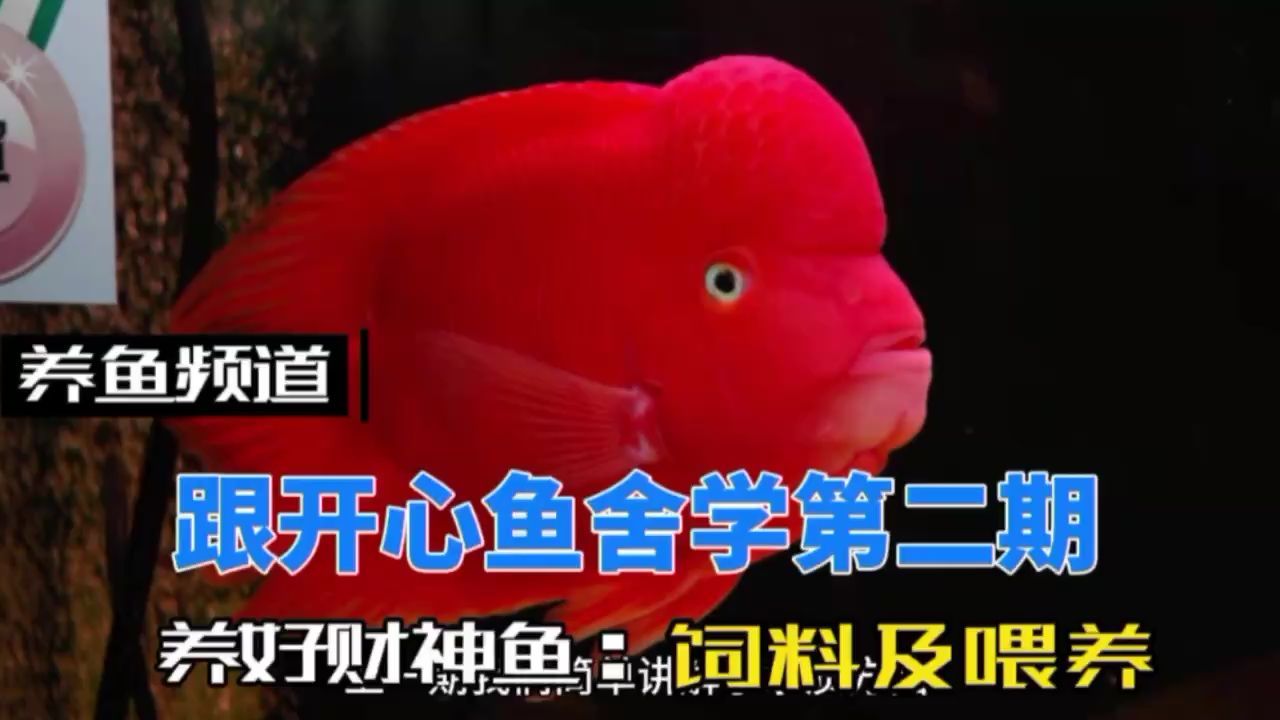 汕頭哪里賣魚缸好點的店的簡單介紹