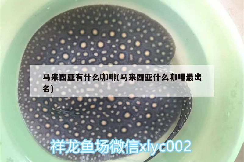 馬來西亞有什么咖啡(馬來西亞什么咖啡最出名) 馬來西亞有什么咖啡(馬來西亞什么咖啡最出名) 馬來西亞咖啡