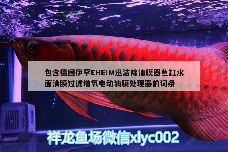 包含德國伊罕EHEIM迅潔除油膜器魚缸水面油膜過濾增氧電動油膜處理器的詞條 包含德國伊罕EHEIM迅潔除油膜器魚缸水面油膜過濾增氧電動油膜處理器的詞條 伊罕水族