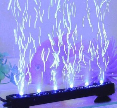 臺州觀賞魚苗批發（臺州觀賞魚苗批發市場）