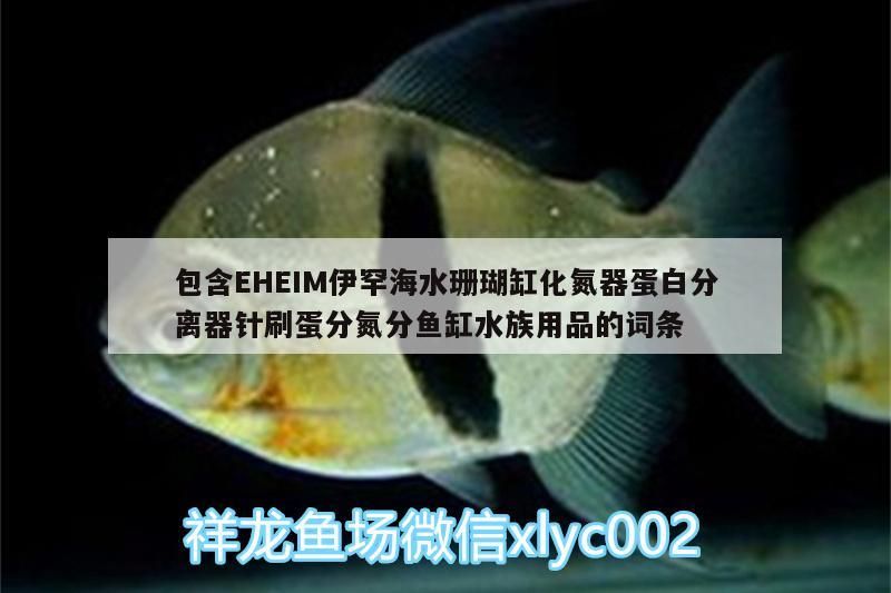 魚缸用增氧泵價格是多少:魚缸增氧機-xtrac增氧機-xtrac增氧機 包含EHEIM伊罕海水珊瑚缸化氮器蛋白分離器針刷蛋分氮分魚缸水族用品的詞條 伊罕水族 包含EHEIM伊罕海水珊瑚缸化氮器蛋白分離器針刷蛋分氮分魚缸水族用品的詞條 包含EHEIM伊罕海水珊瑚缸化氮器蛋白分離器針刷蛋分氮分魚缸水族用品的詞條 伊罕水族