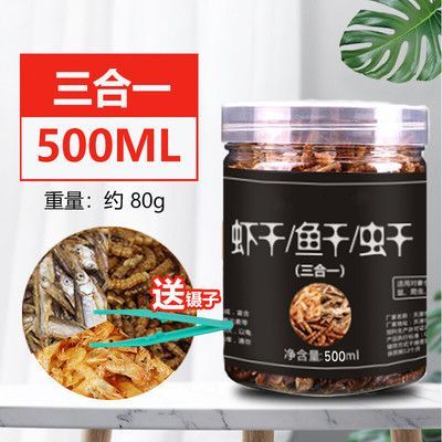 虎魚多久喂一次龜糧合適：虎魚多久喂一次龜糧比較合適 虎魚多久喂一次龜糧合適：虎魚多久喂一次龜糧比較合適 虎魚百科 第1張