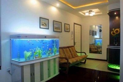 誰有老魚匠紅白造浪泵
