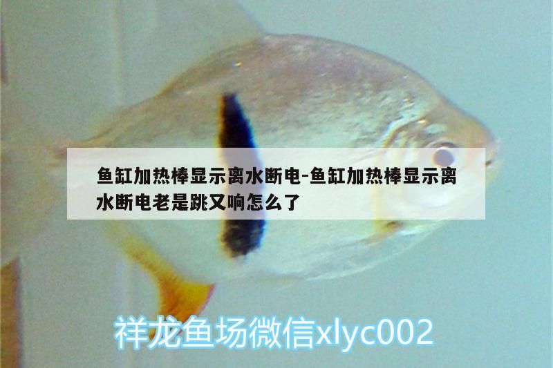 魚缸加熱棒顯示離水斷電:魚缸加熱棒顯示離水斷電老是跳又響怎么了