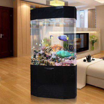 2024年觀賞魚展覽會(huì)時(shí)間表：20192024年觀賞魚展覽會(huì)時(shí)間表