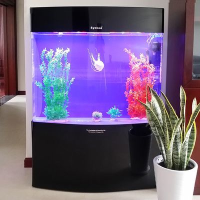 2024年觀賞魚展覽會(huì)時(shí)間表：20192024年觀賞魚展覽會(huì)時(shí)間表
