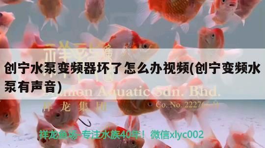 創(chuàng)寧水泵變頻器壞了怎么辦視頻(創(chuàng)寧變頻水泵有聲音)