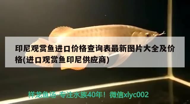 李滄區老趙家花魚店