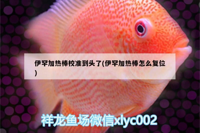 伊罕加熱棒校準到頭了(伊罕加熱棒怎么復位)
