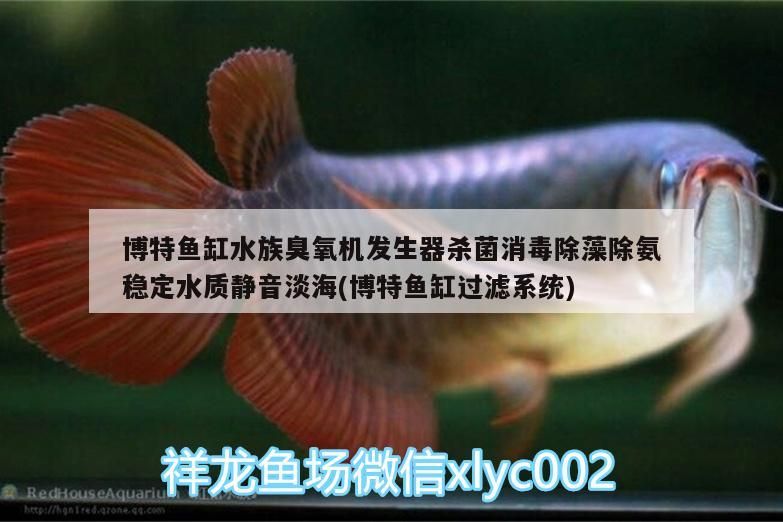 博特魚缸水族臭氧機發生器殺菌消毒除藻除氨穩定水質靜音淡海(博特魚缸過濾系統)