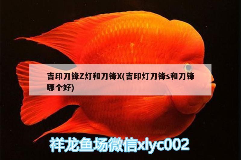吉印刀鋒Z燈和刀鋒X(吉印燈刀鋒s和刀鋒哪個好)