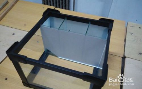 龍魚專用魚缸怎么做，如何制作一個(gè)適合龍魚生存的專用魚缸 龍魚專用魚缸怎么做，如何制作一個(gè)適合龍魚生存的專用魚缸 魚缸百科 第4張